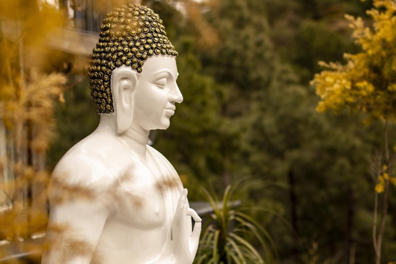 Golden Fern Resort Shimla Luaran gambar